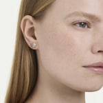 Swarovski Magic Ohrstecker Schneeflocke vergoldet - 5757816