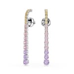 Swarovski Matrix Gradient Drop-Ohrhänger Rund Mehrfarbig rhodiniert