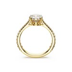 Swarovski Stilla Cocktailring Rund Pavé vergoldet - M5642617