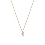 Swarovski Swan Necklace White rose gold-plated - 5738203