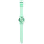 Swatch Original 34 Amazo-Night - GG225