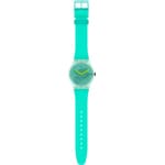 Swatch Original 41 Nature Blur - SUOG119
