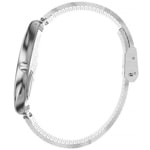 Swatch Skin Irony 38 Skinpole - SYXS103GG