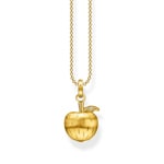 Thomas Sabo Apple & Snake Chaîne pomme or