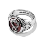 Thomas Sabo Rebel at Heart Chevalière Dragon Œil de tigre rouge Rebel Icons argent - TR2517-826-10