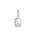 Thomas Sabo Zodiac Charms Silver charm pendant zodiac sign Cancer with zirconia - 2146-643-21