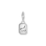 Thomas Sabo Zodiac Charms Charm-Anhänger Sternzeichen Steinbock mit weissen Steinen Silber - 2152-643-21