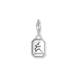 Thomas Sabo Zodiac Charms Silver charm pendant zodiac sign Aquarius with zirconia - 2143-643-21