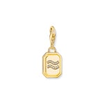 Thomas Sabo Zodiac Charms Gold-plated charm pendant zodiac sign Aquarius with zirconia