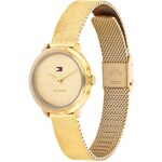 Tommy Hilfiger Demi Mesh Goldig 26mm - 1782811