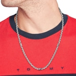 Tommy Hilfiger Collier 3D Flag Metal Argenté - 2790672