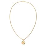 Tommy Hilfiger Necklace Compass Goldtone