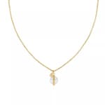 Tommy Hilfiger Collier Orb / Pearl Doré