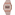 Casio Vintage Edgy Rosé - LW-204-4AEF