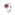 Ring 750/18 K White Gold, Diamonds 0.22 ct H/si and Ruby 1.23 ct - RI-097267-RUB-WG