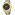 Festina Boyfriend Day-Date - F16691/5