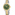 Festina Classique Date Bicolore / Vert 34mm - F20739/4