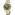 Festina Classique Date Bicolore / Vert 42mm - F20738/2