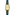 Lacoste Parisienne 23mm Doré / Vert - 2001442