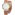 Maurice Lacroix Aikon Ladies - AI1006-PVY11-171-1