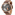 Police Adder - PL14536JSBN/02