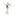 Swarovski Disney - Fee Tinker Bell - 1073747