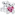 Swarovski Kris Bär – Verliebt - 5004526