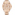Tommy Hilfiger Haven Day Date - 1782197