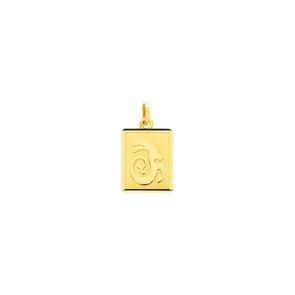 Anhänger 750/18 K Gelbgold 12x15mm, Sternzeichen Steinbock