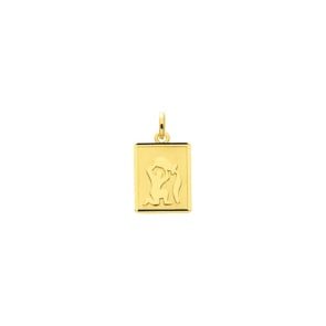 Anhänger 750/18 K Gelbgold 12x15mm, Sternzeichen Wassermann