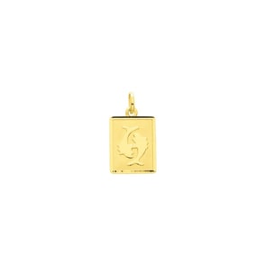 Anhänger 750/18 K Gelbgold 12x15mm, Sternzeichen Fische