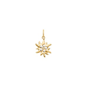 Anhänger 750/18 K Gelb- und Weissgold mit Zirkonia, Edelweiss