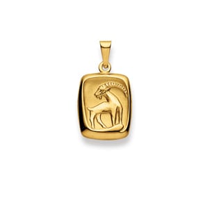 Anhänger 750/18 K Gelbgold, Sternzeichen Steinbock