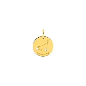 Anhänger 750/18 K Gelbgold Sternzeichen Steinbock - Französische Version