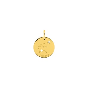Anhänger 750/18 K Gelbgold Sternzeichen Wassermann - Französische Version