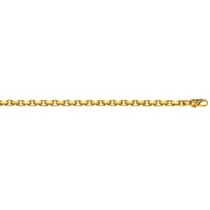 Ankerkette massiv 750/18 K Gelbgold 5.0mm