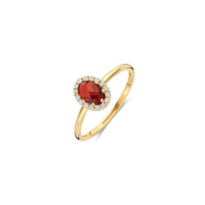 Blush Halo Ring 14k Gelbgold mit Mozambique Granat und Zirkonia
