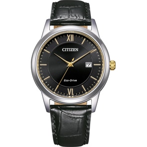 Citizen Elegant Eco-Drive Date 40mm