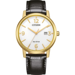 Citizen Elegant Eco-Drive Date 40mm