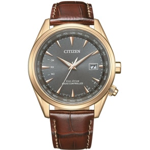 Citizen Elegant Gent Eco-Drive Radio Controlled
