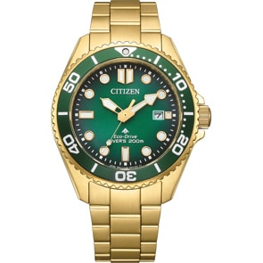 Citizen Promaster Marine Eco-Drive Diver 40mm