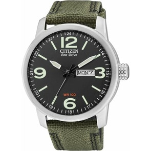 Citizen Sports Gent Day-Date Eco-Drive