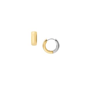 Fossil Creolen Ellis Domed Collection Bicolor