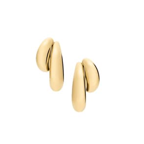 Fossil Creolen Ellis Domed Collection Goldig
