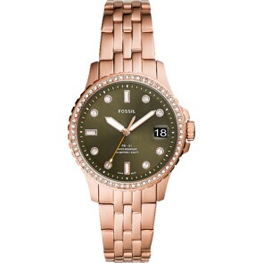 Fossil FB-01