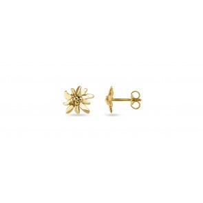 Ohrstecker 750/18 K Gelbgold, Edelweiss