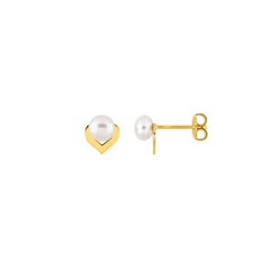 Ohrstecker 750/18 K Gelbgold mit Süsswasserzuchtperlen 5.0mm