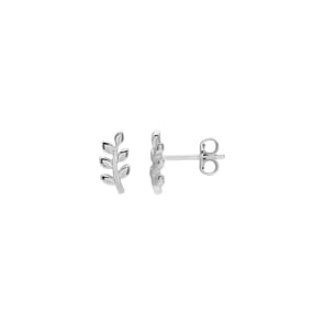 Ohrstecker 925 Silber rhodiniert, Lorbeerzweig