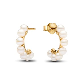 Pandora Gold Timeless Behandelte Süsswasserzuchtperlen Offene Creolen