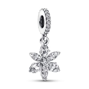 Pandora Moments Funkelnder Herbarium Cluster Charm-Anhänger